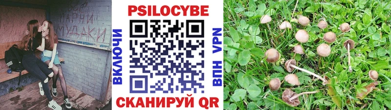 Галлюциногенные грибы Magic Shrooms  Курган 