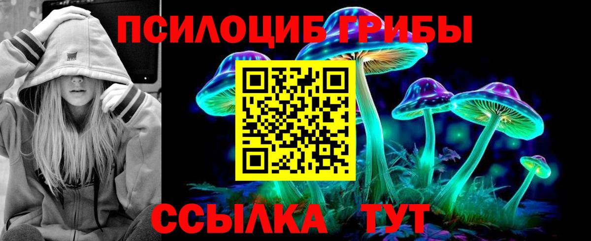 Псилоцибиновые грибы прущие грибы Курган