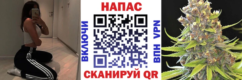 где продают наркотики  Курган  МАРИХУАНА планчик 